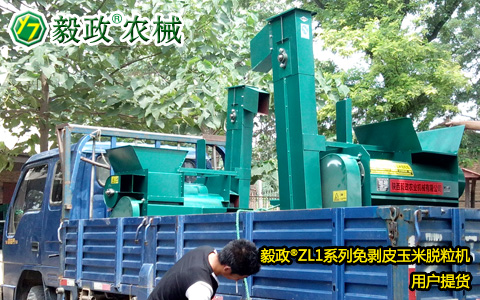 外地客户来我司提取2台毅政牌ZL1D型电机式免剥皮玉米脱粒机