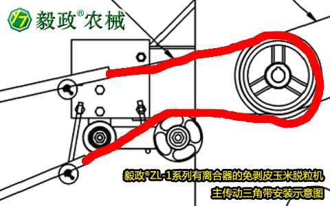 毅政牌ZL1系列有离合器的免剥皮玉米脱粒机，主传动三角带正确安装