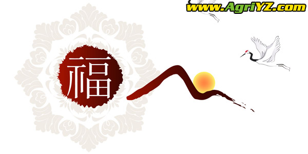 毅政，祝朋友们虎年大吉